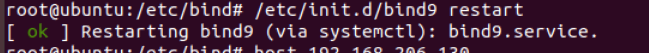 Ubuntu搭建DNS服务器