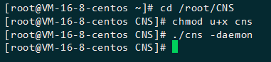 CNS服务器搭建（配合百度直连）