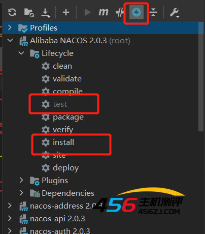 一、Nacos2.0.3源码启动（最完整）