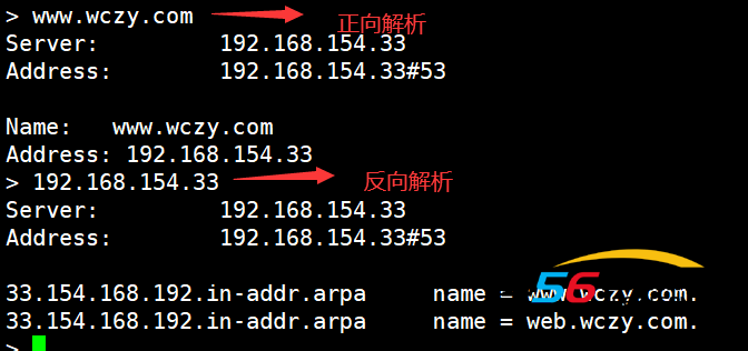 Linux DNS服务器配置